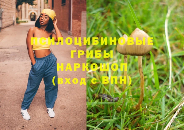 дмт Осинники