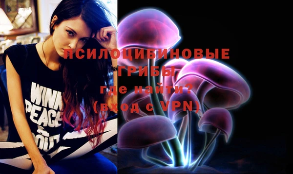 дмт Осинники