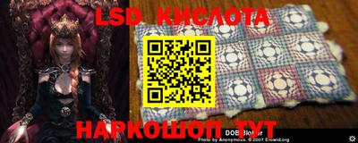 шишки Новодвинск
