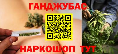 шишки Новодвинск