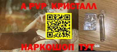 шишки Новодвинск
