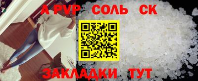 шишки Новодвинск