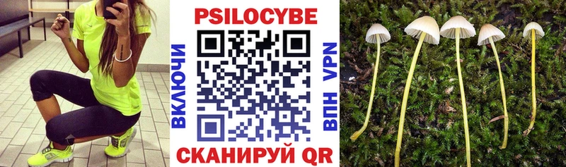 Галлюциногенные грибы Psilocybine cubensis  Похвистнево 