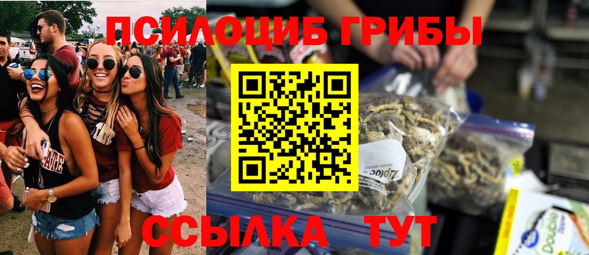 Похвистнево  наркошоп  Вход с VPN  Псилоцибиновые грибы Magic Shrooms 